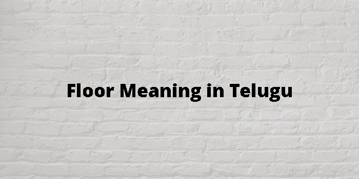 Floor Meaning In Telugu త ల గ అర థ