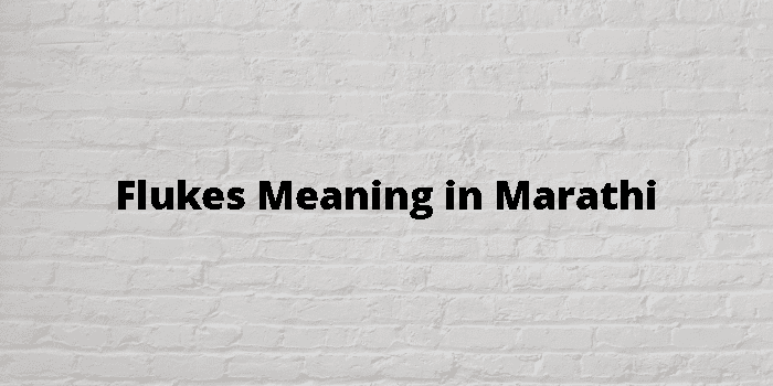 Flukes Meaning In Marathi - मराठी अर्थ