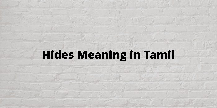 Hides Meaning In Tamil - தமிழ் அர்த்தம்