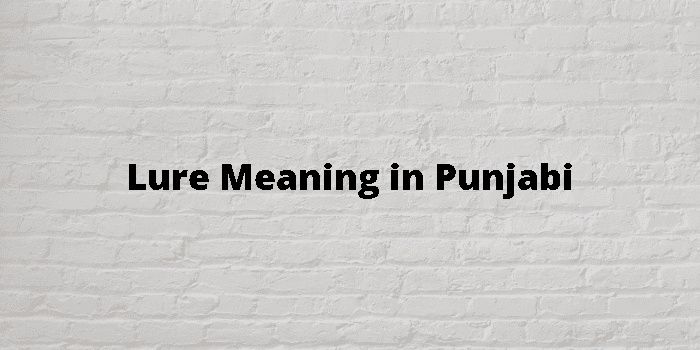 Lure Meaning In Punjabi - ਪੰਜਾਬੀ ਦਾ ਮਤਲਬ