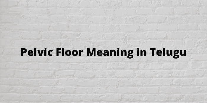Pelvic Floor Meaning In Telugu