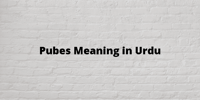 Pubes Meaning In Urdu - اردو معنی