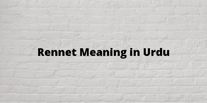 Rennet Meaning In Urdu - اردو معنی