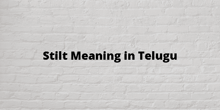 Stilt Meaning In Telugu త ల గ అర థ