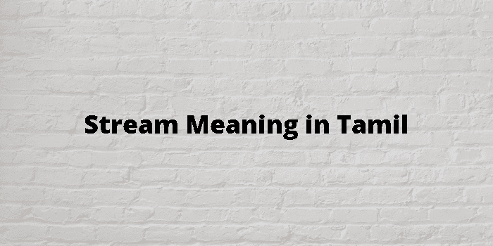 Stream Meaning In Tamil - தமிழ் அர்த்தம்