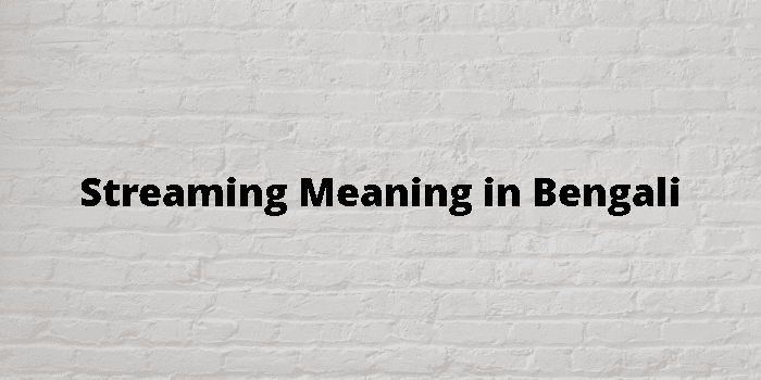 Streaming Meaning In Bengali - বাংলা অর্থ