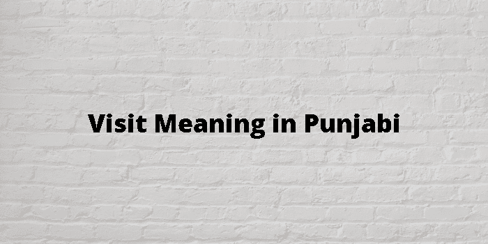 pay a visit meaning in punjabi